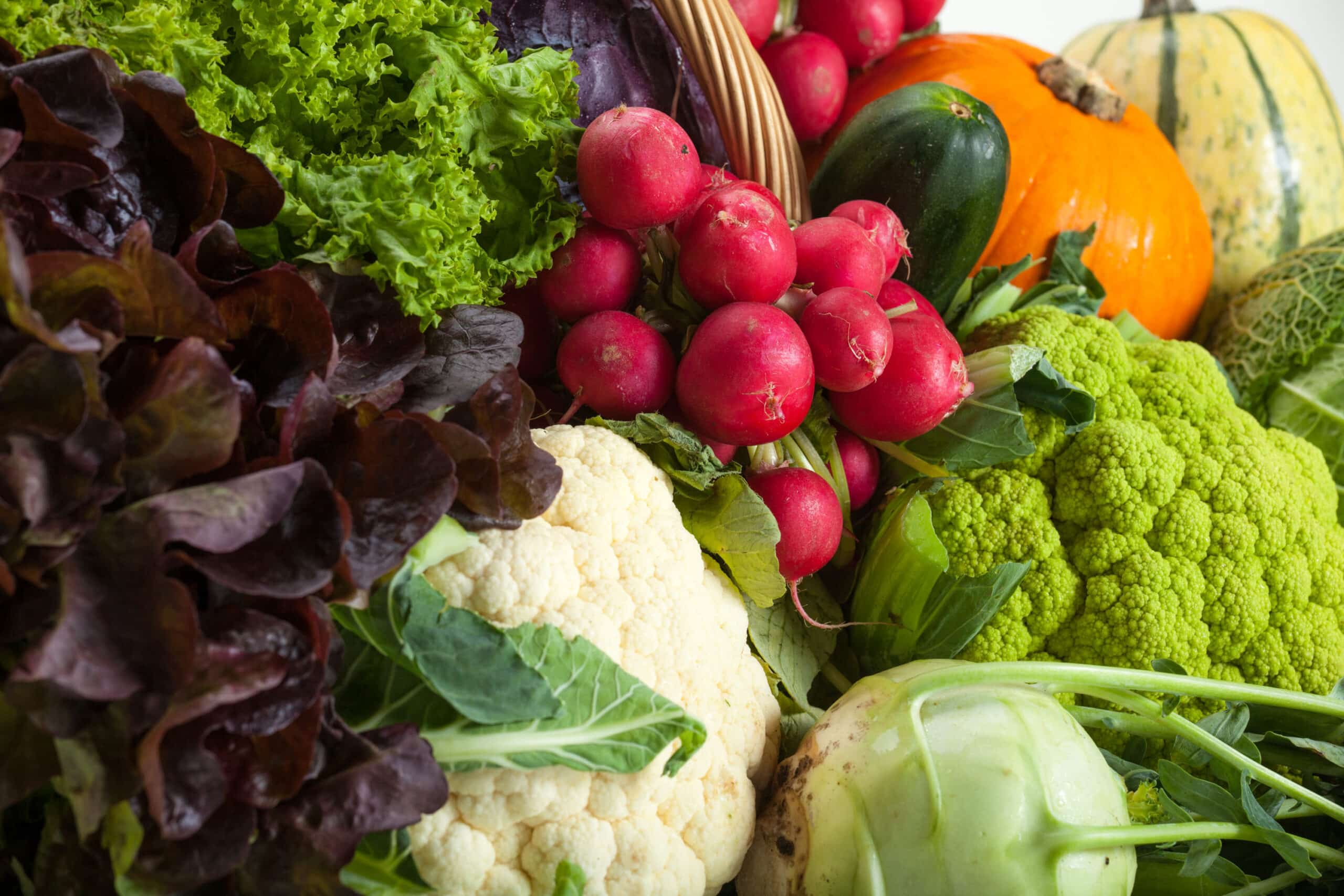 Angebot: Menü Mobil „Ihre regionale Frische“ GmbH